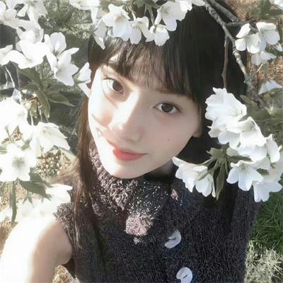 猫儿叫春